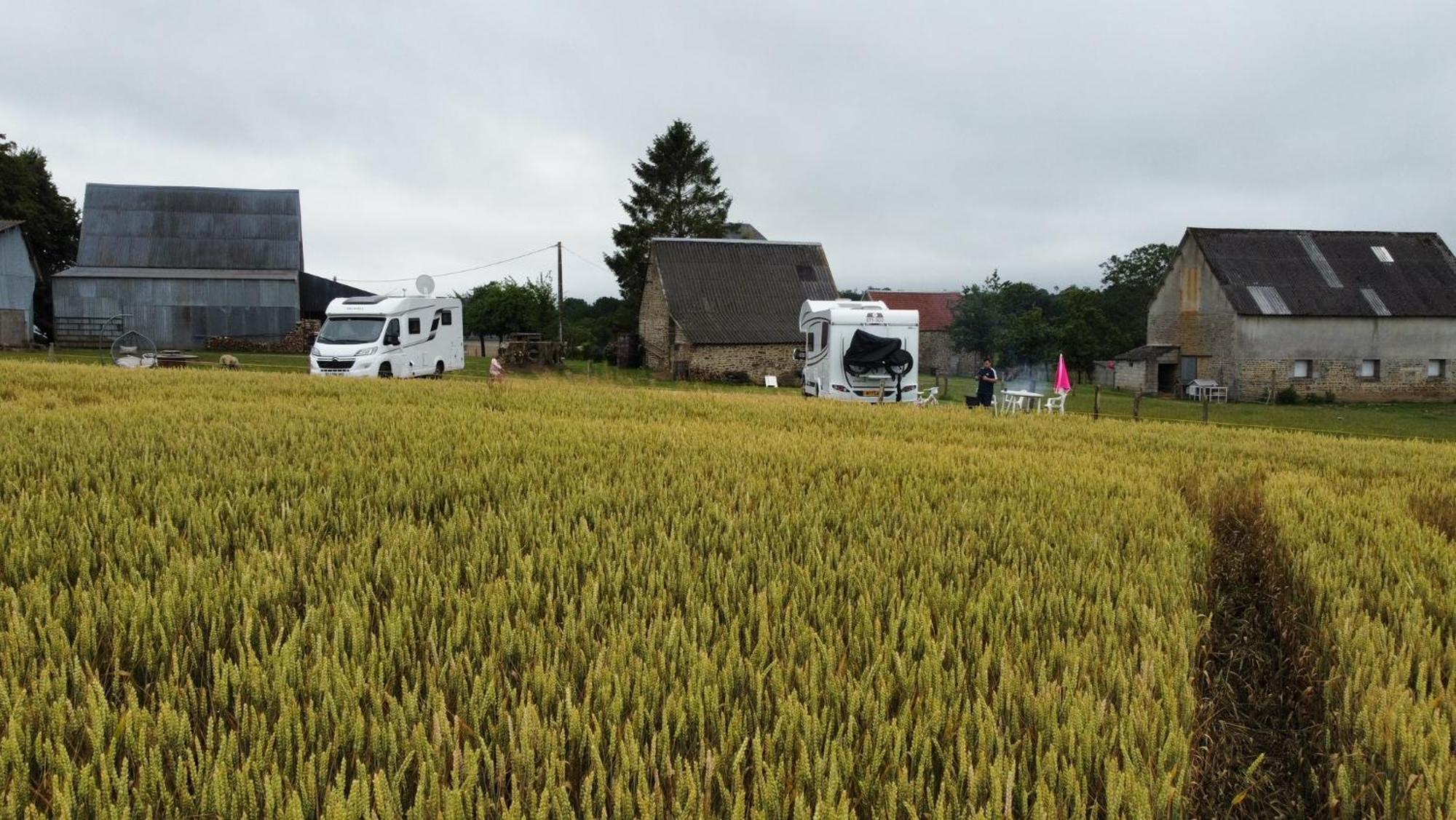 La Billardiere Camping A La Ferme Le Menil-Ciboult 외부 사진